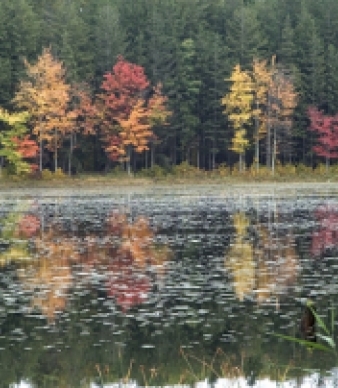 James L. Goodwin State Forest &amp; Conservation Education Center